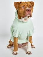 PAW PASTEL HOODIE