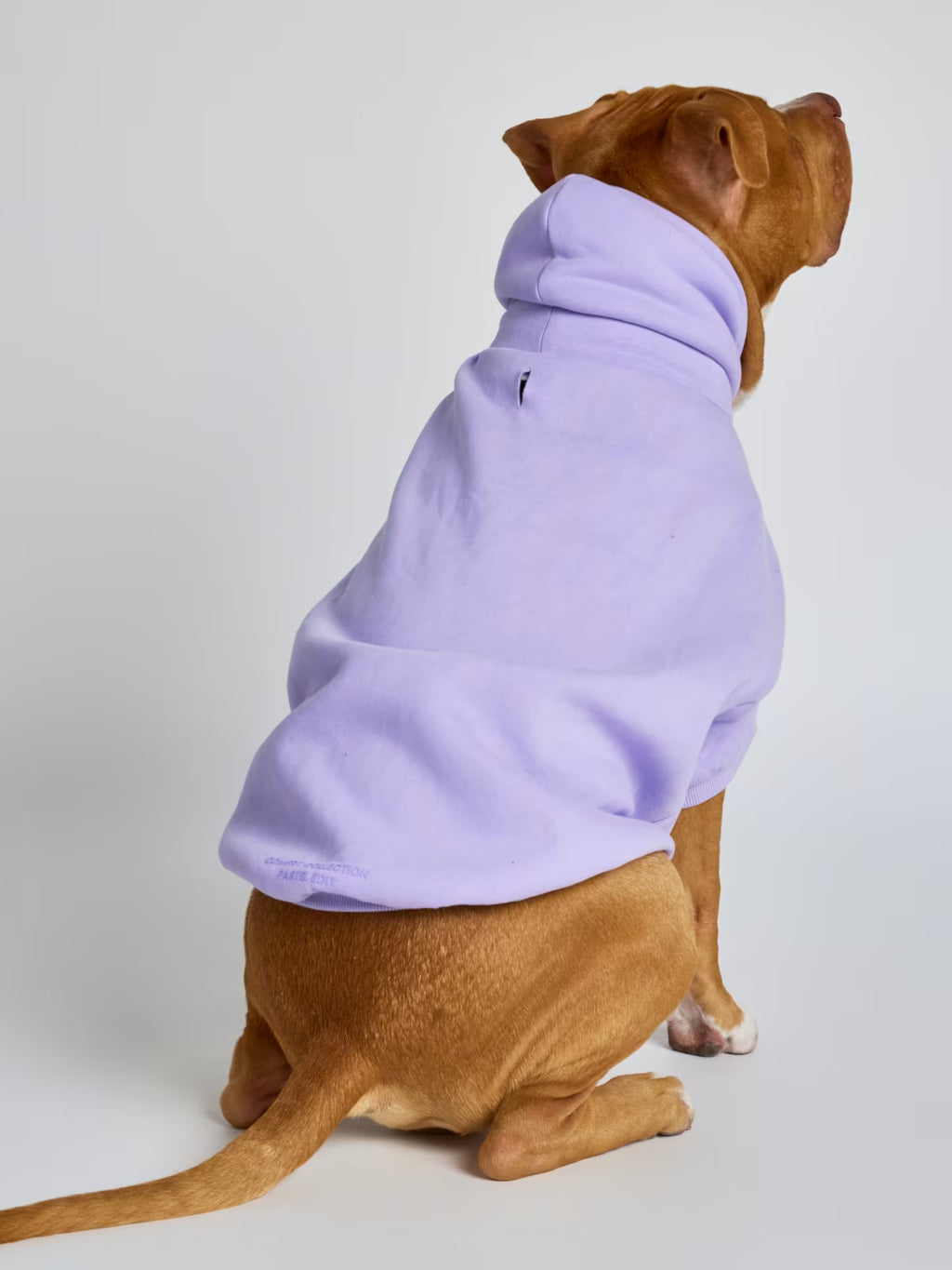 PAW PASTEL HOODIE