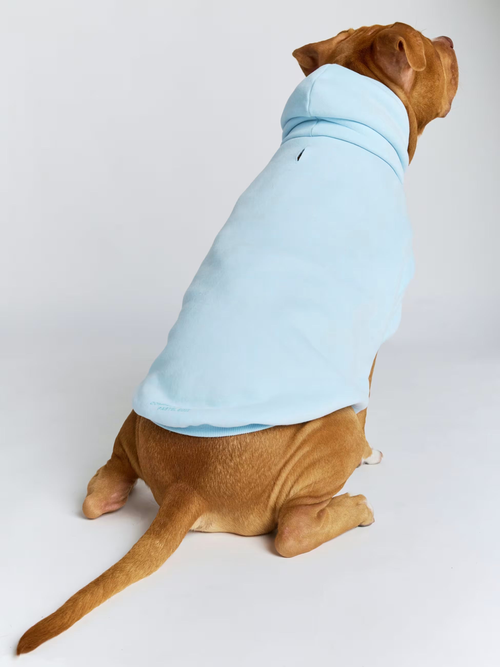 PAW PASTEL HOODIE