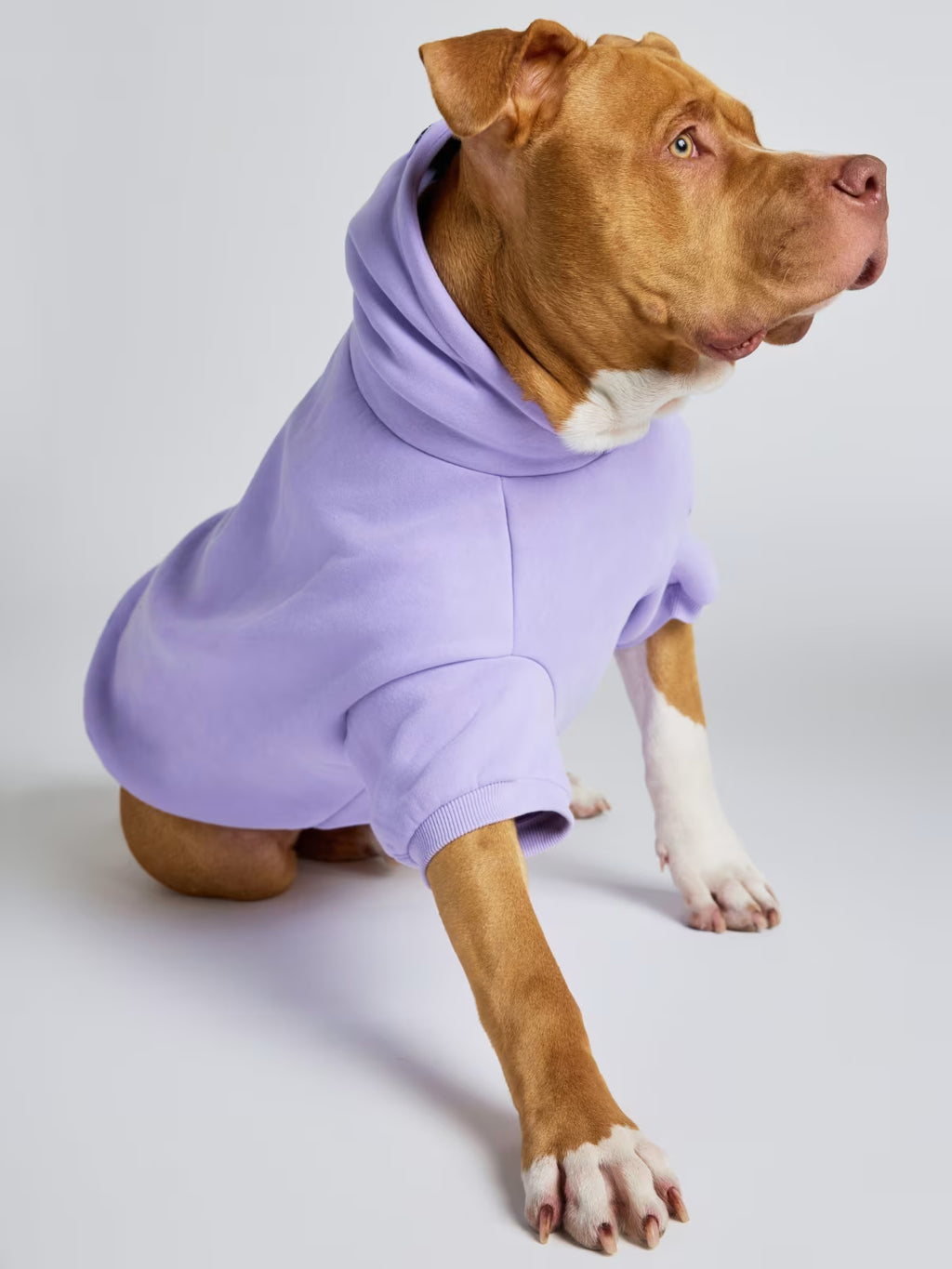 PAW PASTEL HOODIE